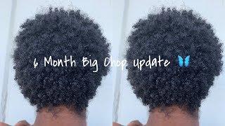 6 Month Big Chop Update !!!