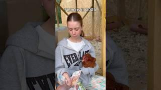 Ох уж эти цены на яица 🪺#курицы #ферма #дача #яйца