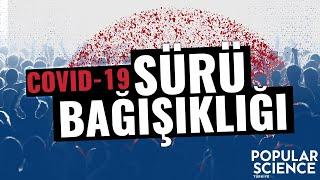 Covid-19 Sürü Bağışıklığı | Popular Science Türkiye