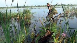 Небывалый улов линя на удочку на новую оснастку   лепесток в траве! И новые заметки