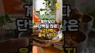 꼭 챙겨드세요! 계란보다 단백질 많은 고단백 음식 4가지 #건강정보 #건강