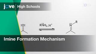 Aldehydes & Ketones with Amines: Imine Formation Mechanism | Organic Chem | Video - Preview