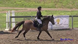 107S Ashley Shrader Open Beginner Novice Show Jumping Shepherd Ranch August 2018