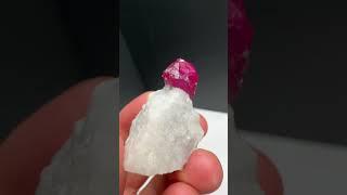 Corundum var. Ruby from Afghanistan | Fine Art Minerals | Ruby |