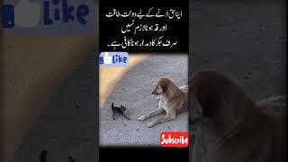 To fight for one's rights, one does not need to have wealth, power, or#Islamic #shortvideo