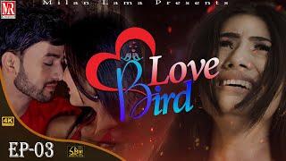 Love Bird || Episode - 3 || Ft- Rohit , Sabina , Harry ,Preetika Sharma || M.R Creation ||