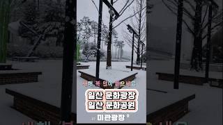 일산문화광장 하얀 눈 펑펑 내리는날 미애언니 전미애가간다