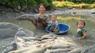 How to catch giant fish ponds and sell them at the market with your children