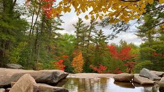 Autumn Deep Sleep Music, Best Relaxing Music to Fall Asleep, Music to Help You Sleep, Meditation