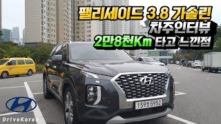 볼보 XC60 타다 현대 팰리세이드 3.8 가솔린 모델을 선택한 이유? 2만8천km 타고 느낀점 【실차주 인터뷰】