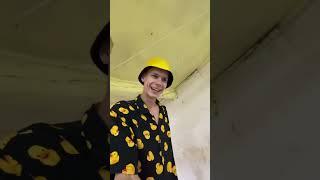 Кто до сих пор боится гусей ? 🪿Чей страх детства ?