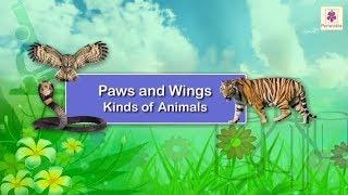 Paws and Wings - Kinds Of Animals | Science Grade 1 | Periwinkle