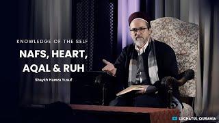 Knowledge of Self: Nafs,Heart, Aqal & Ruh | Shaykh Hamza Yusuf