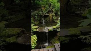 Лесной ландшафт, в котором хочется рассматривать каждую деталь! Школа ландшафта ВИД 