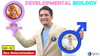 CSIR NET JUNE 2025 I Developmental Biology I Lecture 31 I Sex Determination I IFAS