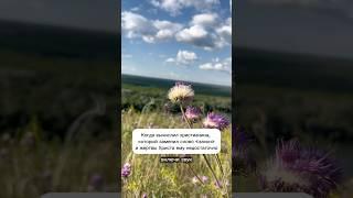 Ты не знаешь благодати, если так говоришь