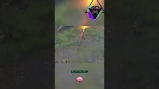 New RPG: Epic Gameplay & Stunning World!