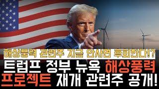 해상풍력 관련주 지금 안사면 후회합니다! 트럼프 정부 뉴욕 해상풍력 프로젝트 재개 관련주 공개! #트럼프 #해상풍력 #풍력관련주 #세진중공업