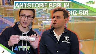 Der BEKANNTESTE und GRÖSSTE AMEISENSHOP Deutschlands - Antstore Berlin |S02E01| Antslife2