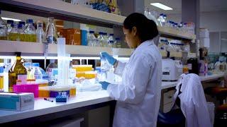 Study biotechnology at Griffith University