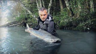 MON PLUS GROS CHINOOK JAMAIS PÊCHÉ  - Cyril Chauquet