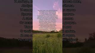 «Летний сад» А.Ахматова Тгк: Прибежище несчастных #поэзия #ахматова #стихи #писатель