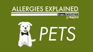 Allergies Explained - Pets