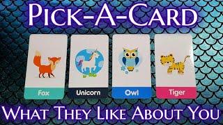 WHY DO THEY LIKE YOU? ️️‍ Pick-A-Card Love Reading