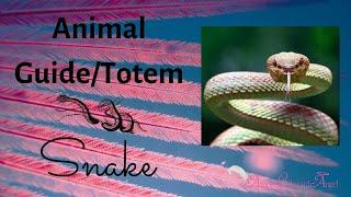 SNAKE Animal Guide/Totem~Animal Meaning