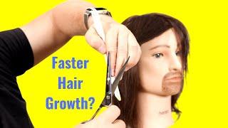 How to Cut Split Ends - TheSalonGuy