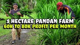 1 Hectare Pandan Farm - 60k to 80k per Month