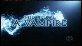 Moonlight - CBS promo 4 of 13: Life of a Vampire