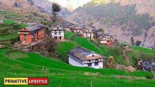 Poor But Very Very Happy Village Life || Nepali Mountain Village Lifestyle || Primitive Lifestyle