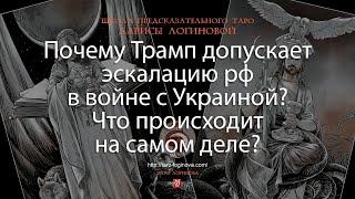 Почему Трамп допускает эскалацию рф в войне с Украиной? Что происходит на самом деле?