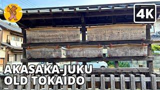 OLD TOKAIDO ROAD PART 36 |  Akasaka-juku 4K Japan Countryside Aichi Walking Tour 旧東海道赤坂宿