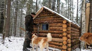 СПАС ЕГО ОТ ВОЛКОВ! ПОХОД В ТАЙГУ, ПОСЛЕ ЭТОГО ИЗБА ПРЕОБРАЗИЛАСЬ.