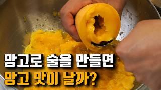 망고로 소주를 만들면 무슨 맛일까? (쪽박 아니면 대박)