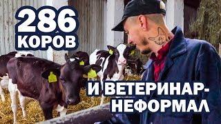 Ветеринар-неформал уехал в деревню по распределению