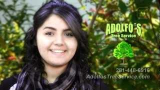 Adolfos Tree Service 281-448-6916