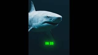 5 Jaw-Dropping Facts About Predators That Will Shock You! ! #facts #mindblowing