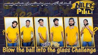 Blow the Ball into glass Challenge | Nillypilly