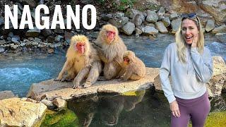 Magical Day with Nagano’s Snow Monkeys (National Geographic-Like Experience in Japan)