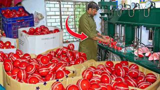 How Cricket Balls are Made in Factories   Mass Production Process   Smartest Workers