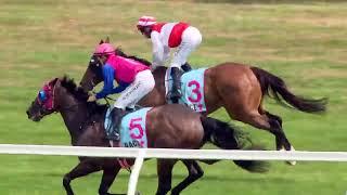 Trentham Stakes 2025 - WHANGAEHU (3YO+ SWP G3) Group 3 Trentham NZ 11 January