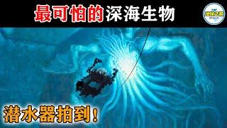 潜水器拍到了真实存在的海怪！最可怕的15种深海生物生活在马里亚纳海沟！这里是地球最深的地方！丨地球之最#冷知识 #排名 #世界之最#海怪#人类禁区#动物#动物世界#世界之最top#出类拔萃#吸血鬼鱼