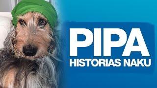 Como Naku ayudó a salvar la vida de Pipa. Historias Naku