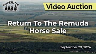 Return to the Remuda Horse Sale