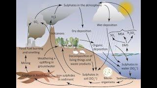 Module-1: Biogeochemical cycles- Sulfur Cycle - 5 Sem B.Sc Microbiology-Environmental Microbiology