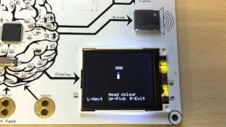 Brainpad Objects