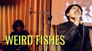 Weird Fishes @ Communes (Daegu) - 2022.10.29